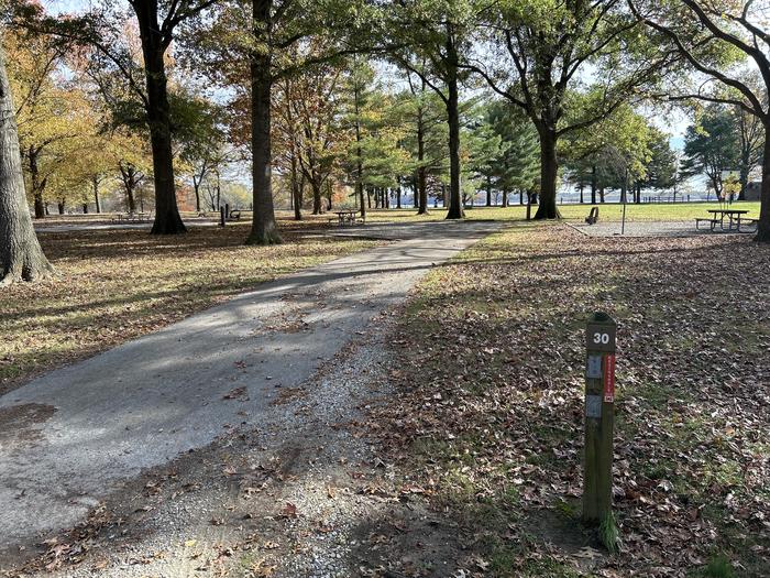 A photo of Site 030 of Loop DAM WEST at Dam West Campground
