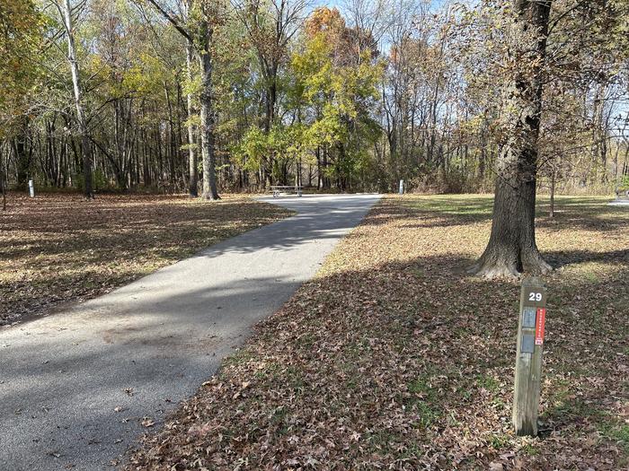 A photo of Site 029 of Loop DAM WEST at Dam West Campground
