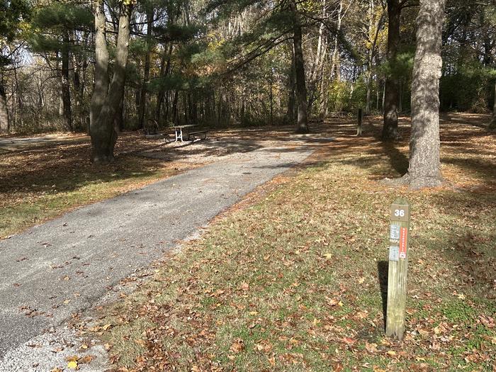 A photo of Site 036 of Loop DAM WEST at Dam West Campground
