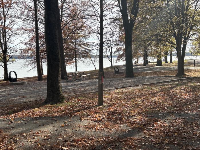 A photo of Site 037 of Loop DAM WEST at Dam West Campground
