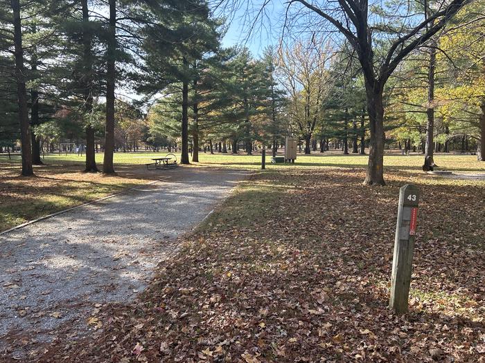 A photo of Site 043 of Loop DAM WEST at Dam West Campground
