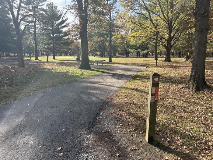 A photo of Site 040 of Loop DAM WEST at Dam West Campground
