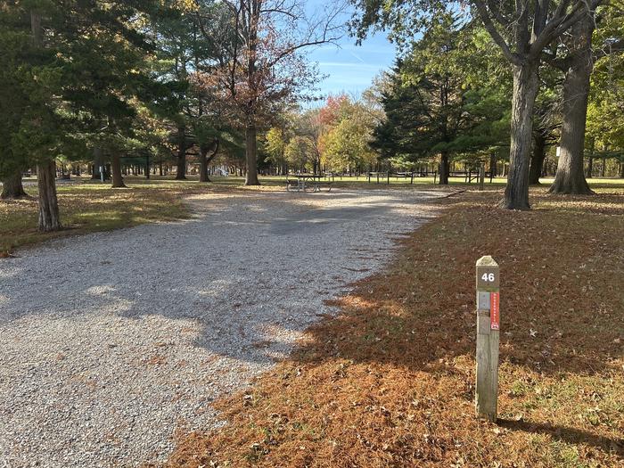 A photo of Site 046 of Loop DAM WEST at Dam West Campground
