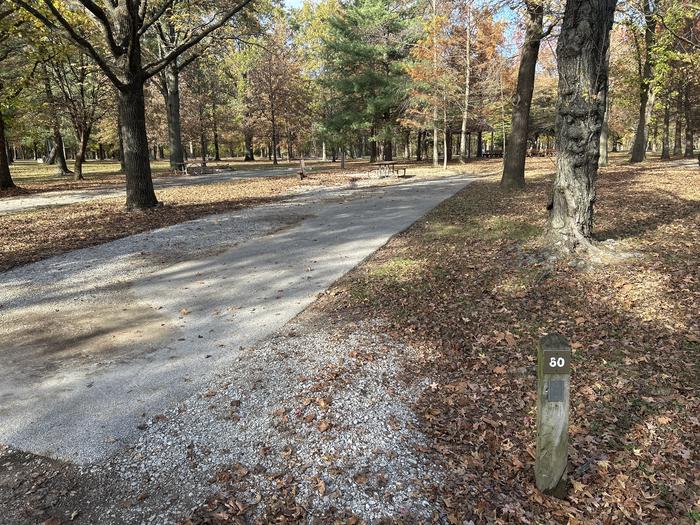 A photo of Site 060 of Loop DAM WEST at Dam West Campground
