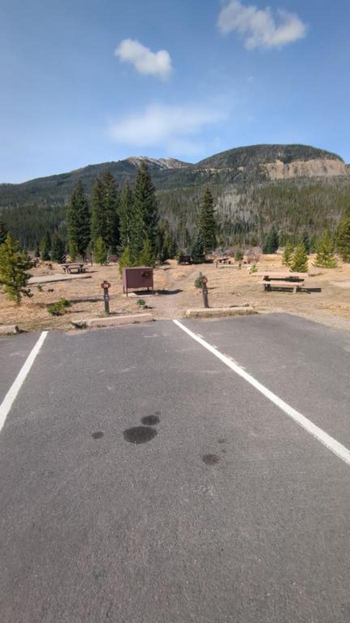 79DSite 79 has only one parking spot; the adjacent spots are for other campsites.