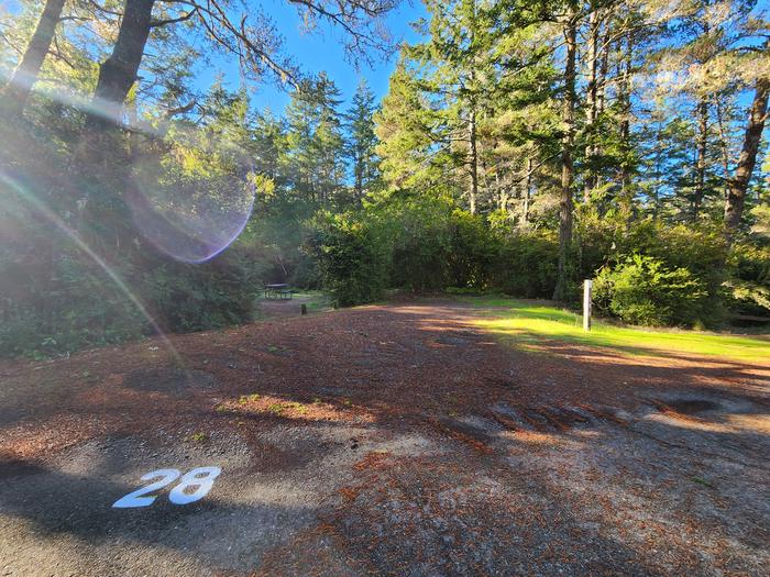 Eel Creek Campground Site #28