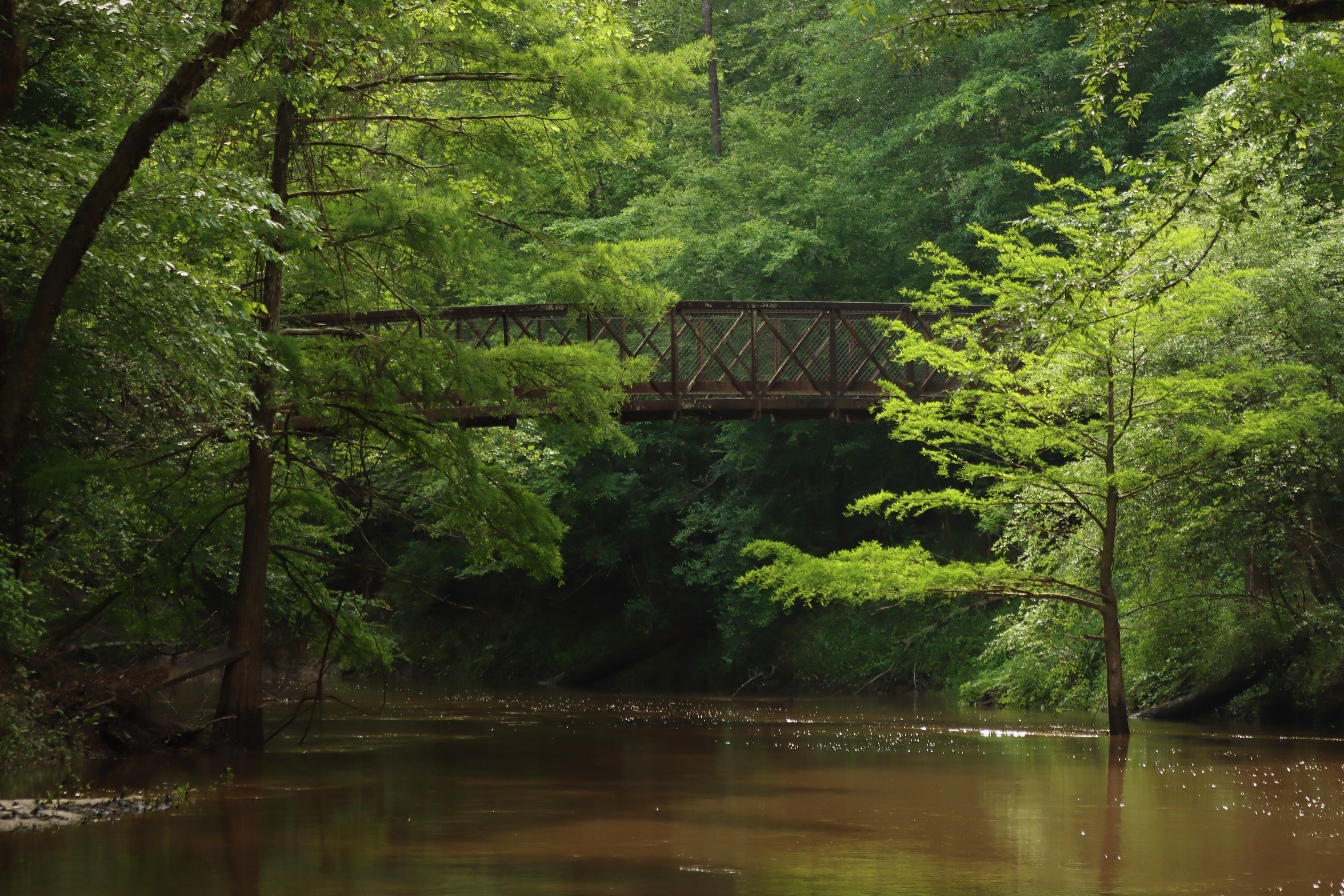 Village Creek Bridge