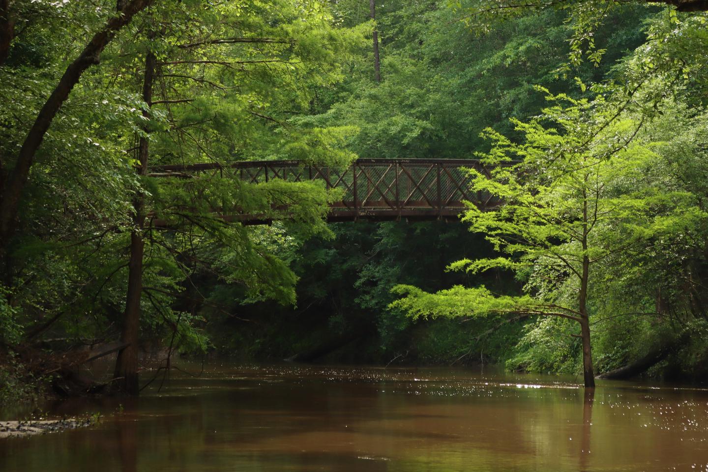 Village Creek BridgeThe bridge over Village Creek connects the Kirby Nature Trail to the Turkey Creek Trail.