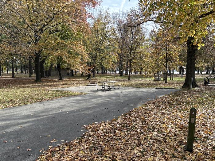 A photo of Site 004 of Loop DAM WEST at Dam West Campground