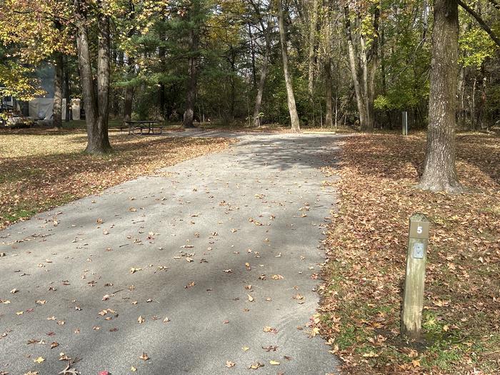 A photo of Site 005 of Loop DAM WEST at Dam West Campground