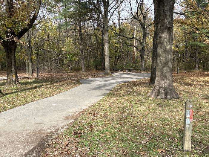 A photo of Site 019 of Loop DAM WEST at Dam West Campground