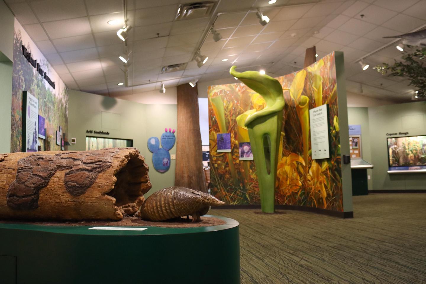 Visitor Center ExhibitsExplore the exhibits inside the visitor center.