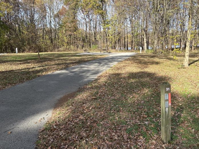 A photo of Site 031 of Loop DAM WEST at Dam West Campground