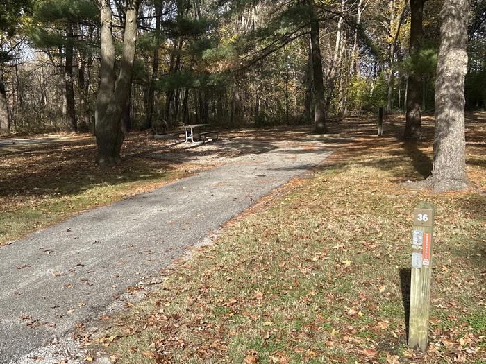 A photo of Site 036 of Loop DAM WEST at Dam West Campground