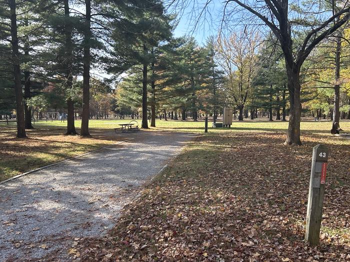 A photo of Site 043 of Loop DAM WEST at Dam West Campground