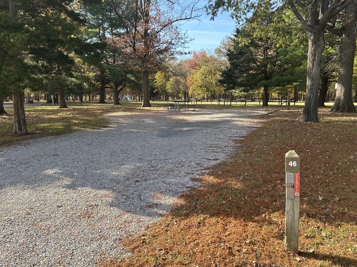 A photo of Site 046 of Loop DAM WEST at Dam West Campground