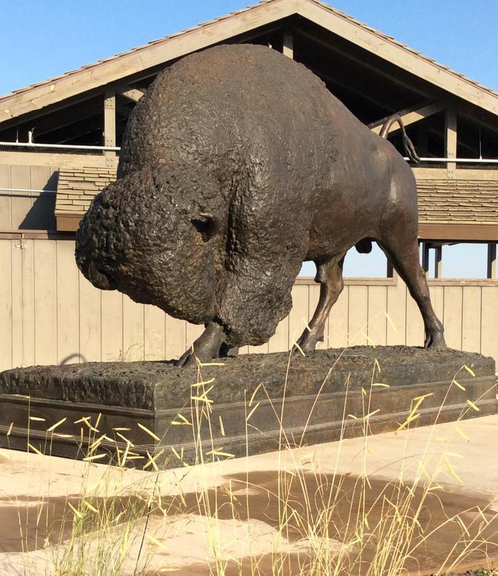 Bronze Sculpture of BisonSun hitting majestic bronze bison sculpture adjacent to visitor center