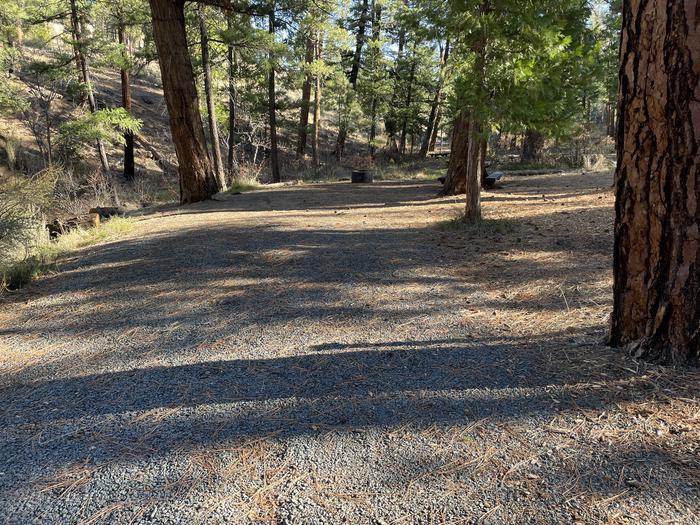 A photo of Site 048 of Loop UPPE at PERRY SOUTH CAMPGROUND parking pad