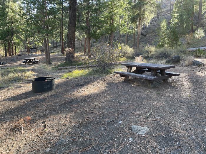 A photo of Site 048 of Loop UPPE at PERRY SOUTH CAMPGROUND with Picnic Table