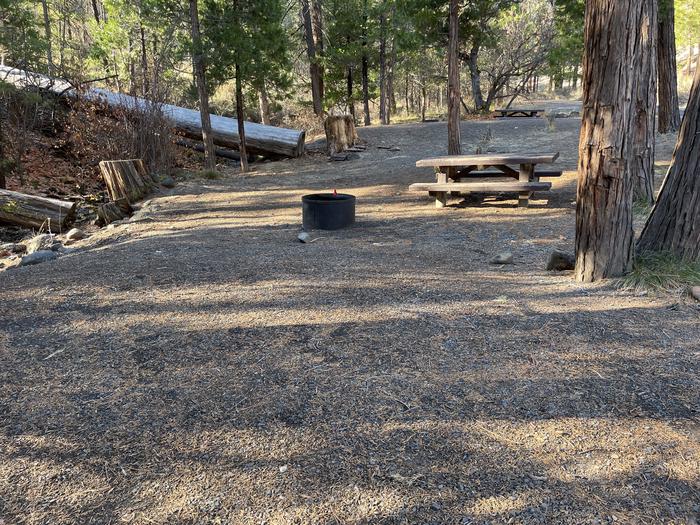 A photo of Site 061 of Loop UPPE at PERRY SOUTH CAMPGROUND with Picnic Table