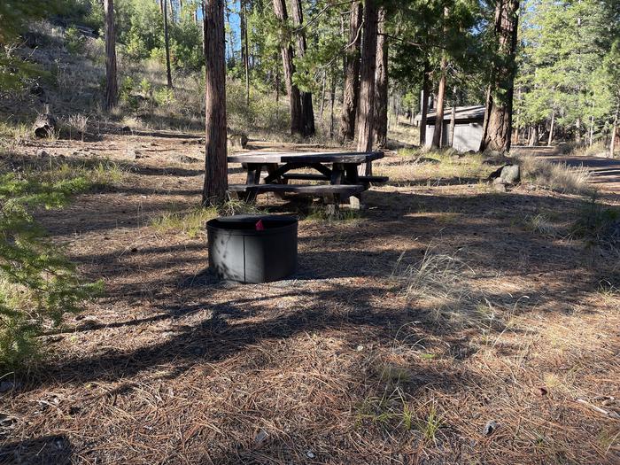 A photo of Site 055 of Loop UPPE at PERRY SOUTH CAMPGROUND with Picnic Table