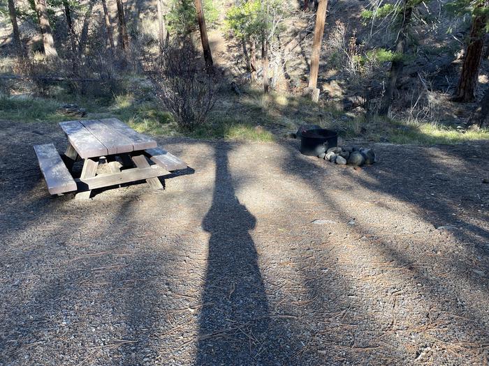 A photo of Site 047 of Loop UPPE at PERRY SOUTH CAMPGROUND with Picnic Table