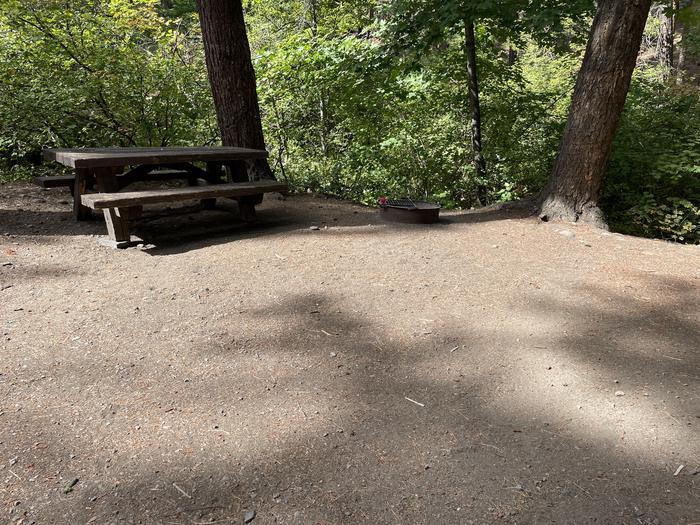 A photo of Site 033 of Loop LOWE at PERRY SOUTH CAMPGROUND with Picnic Table