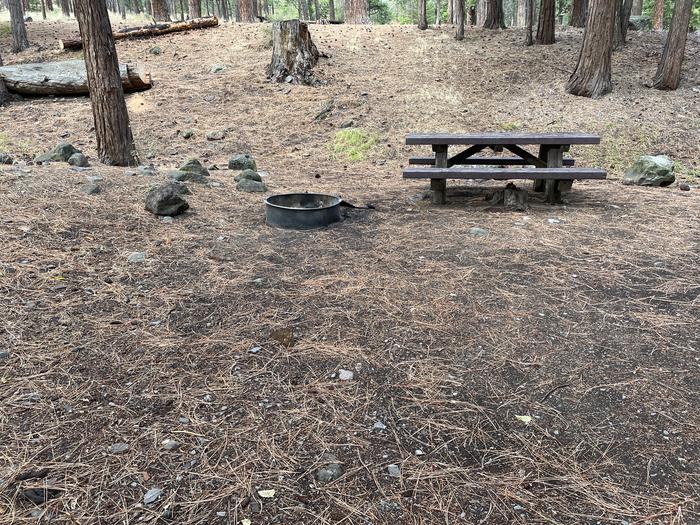 A photo of Site 026 of Loop LOWE at PERRY SOUTH CAMPGROUND with Picnic Table