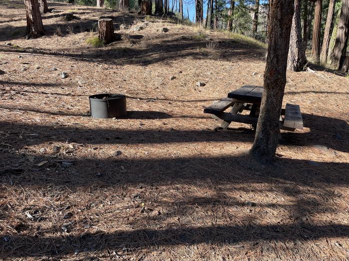 A photo of Site 054 of Loop UPPE at PERRY SOUTH CAMPGROUND with Picnic Table