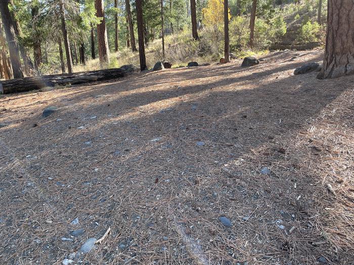 A photo of Site 054 of Loop UPPE at PERRY SOUTH CAMPGROUND parking pad