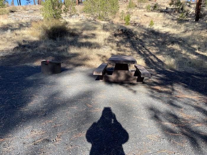 A photo of Site 045 of Loop UPPE at PERRY SOUTH CAMPGROUND with Picnic Table