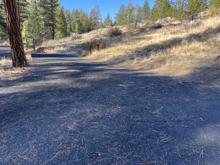 A photo of Site 045 of Loop UPPE at PERRY SOUTH CAMPGROUND pull through parking pad