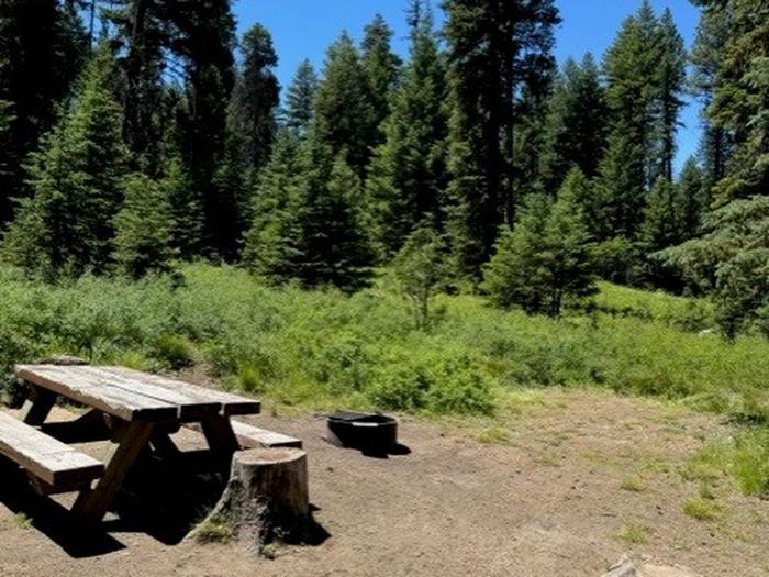 picnic table and fire pitcampsite 2