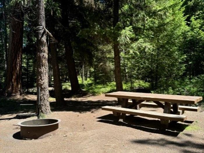 campsite picnic area and fire ringBull Prairie Lake site #6