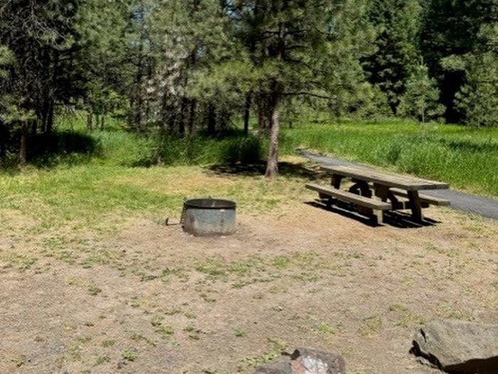 campsite picnic table and fire ringBull Prairie Lake Campground site #11