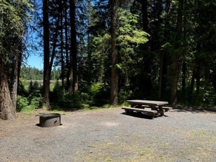 campsite picnic table and fire ringBull Prairie Lake Campground site #13