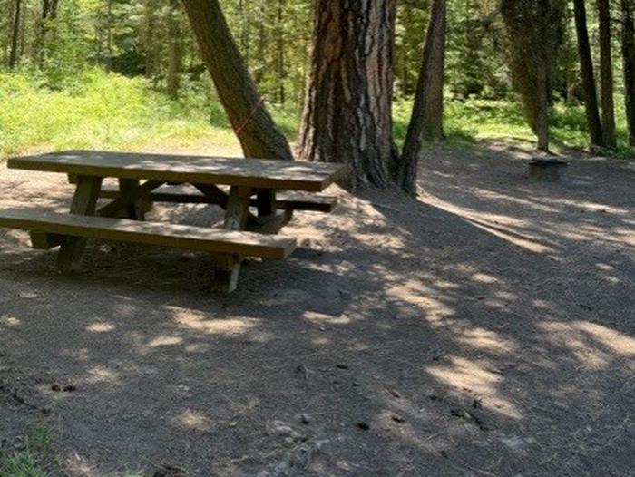 campsite picnic table and fire ringBull Prairie Lake Campground site #19