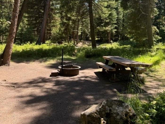 campsite picnic table and fire ringBull Prairie Lake Campground site #23