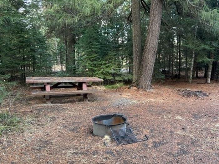 campsite picnic table and fire ringBull Prairie Lake Campground site #14