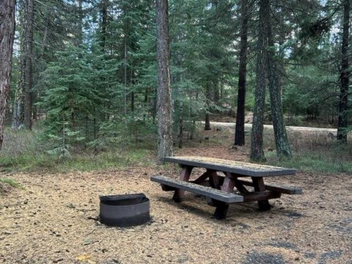 picnic table and firepitBull Prairie Lake Campground site #17