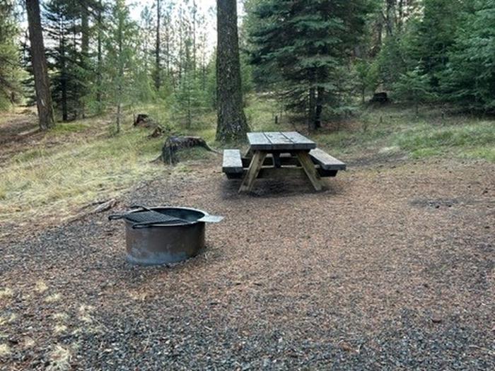 campsite picnic table and fire ringBull Prairie Lake Campground site #25