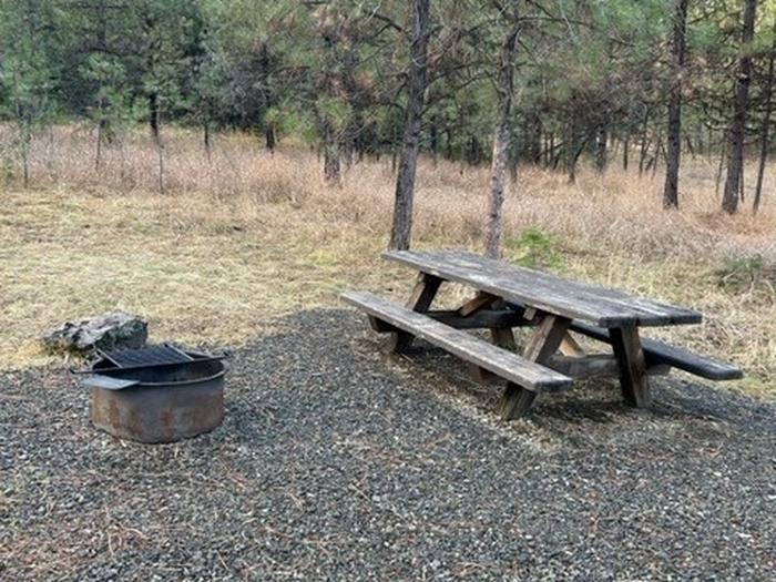 campsite picnic table and fire ringBull Prairie Lake Campground site #28