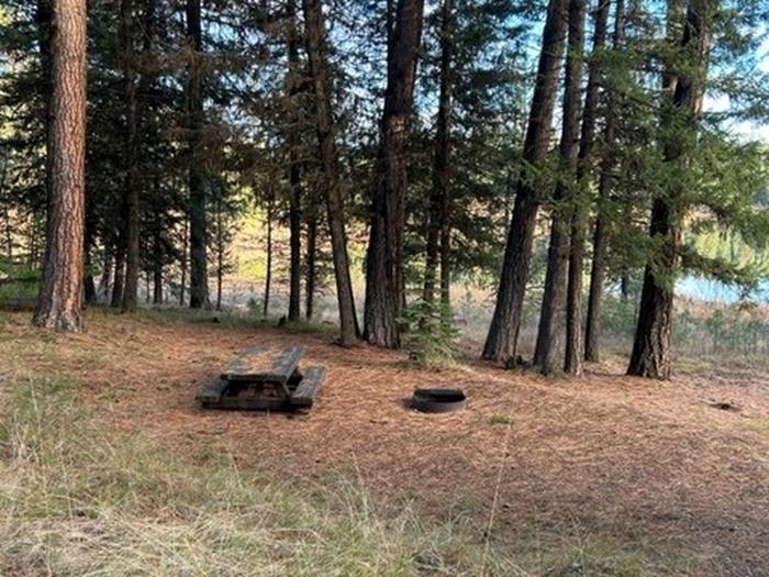 campsite picnic table and fire ringBull Prairie Lake Campground site #30