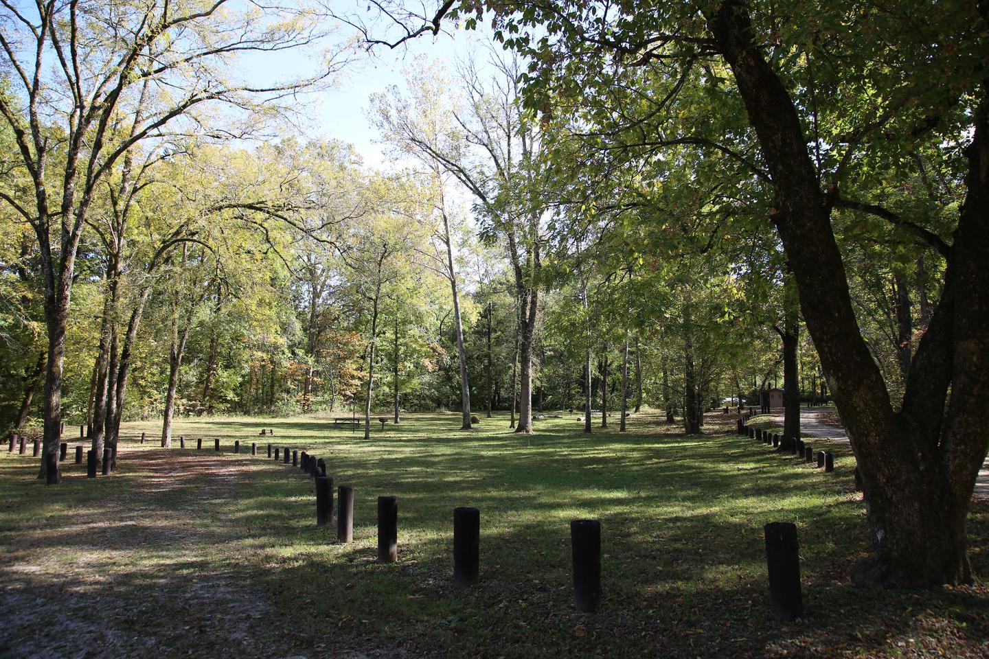 Preview photo of Gooseneck Campground