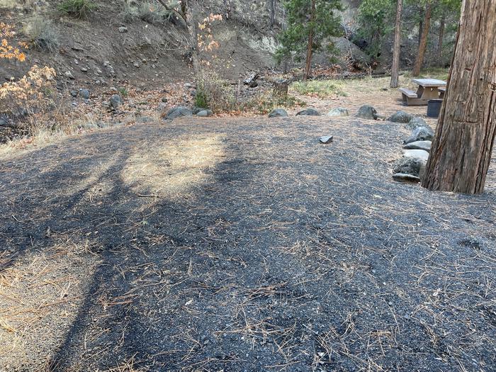 A photo of Site 059 of Loop UPPE at PERRY SOUTH CAMPGROUND parking pad