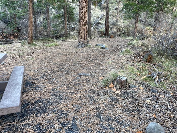 A photo of Site 059 of Loop UPPE at PERRY SOUTH CAMPGROUND with Tent Pad