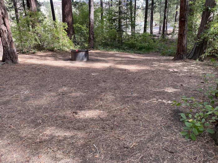 A photo of Site 028 of Loop Hike-To at PERRY SOUTH CAMPGROUND with Fire Pit