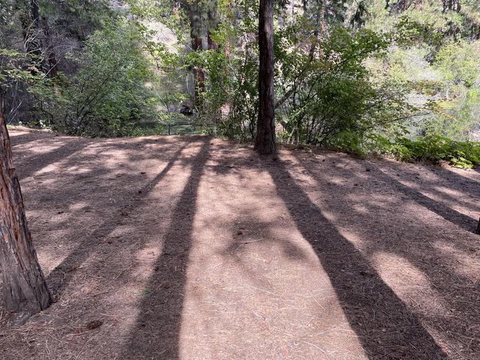 A photo of Site 028 of Loop Hike-To at PERRY SOUTH CAMPGROUND with Tent Pad