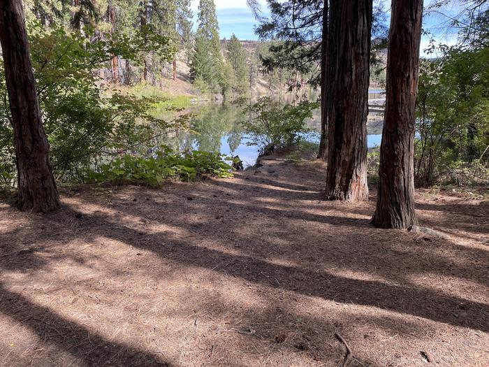 A photo of Site 028 of Loop Hike-To at PERRY SOUTH CAMPGROUND with Waterfront