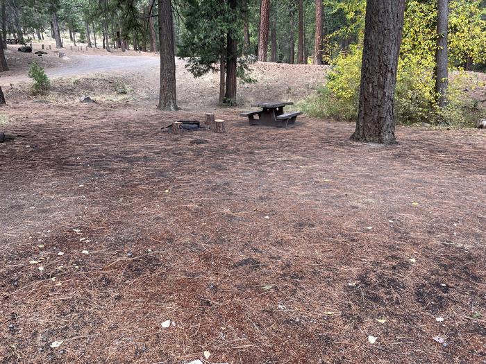 A photo of Site 018 of Loop LOWE at PERRY SOUTH CAMPGROUND with Picnic Table